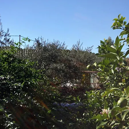 Apartments By The Sea Arbanija, Ciovo - 9423 *